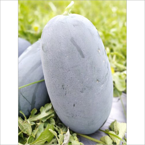 Apexx F1 Hybrid Watermelon Seeds