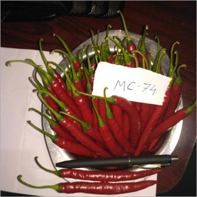 Hybrid Chilli 72 Seed