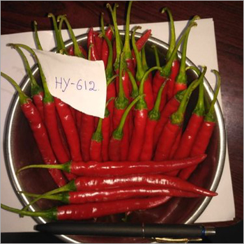 Hybrid Chilli 6120 Seed