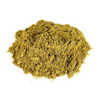 Olive Leaf Extract