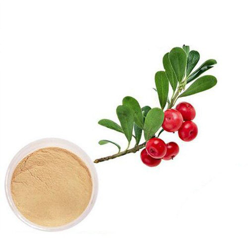 Bearberry Extract By HIMRISHI HERBAL