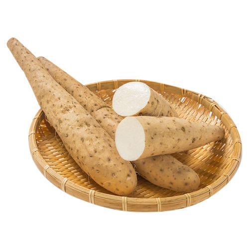 Wild Yam Extract