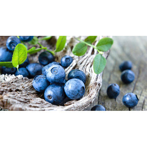 Blueberry Extract By HIMRISHI HERBAL