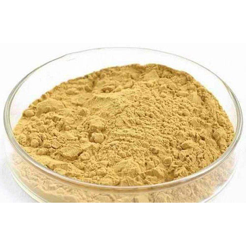 Ganoderma Extract