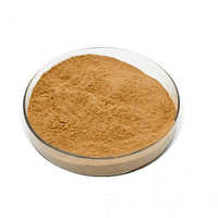 Astragalus Powder