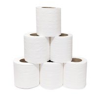 Primaxx Premium Quality Toilet Paper Roll 2 Ply 6 In 1 Value Pack