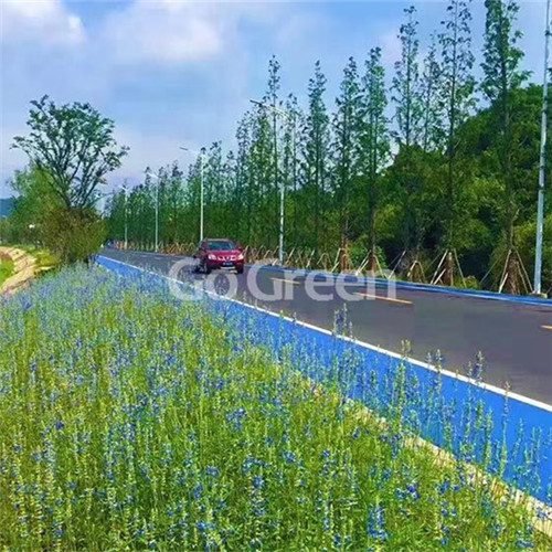 Color Antiskid Pavement