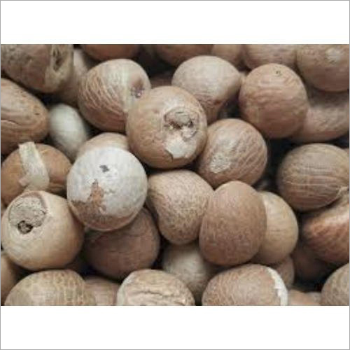 Betel Nuts