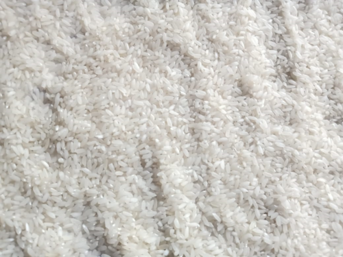 Masoori White Raw Rice