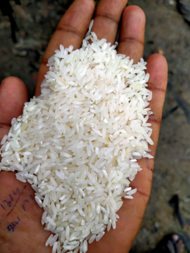 IR 64 White Rice