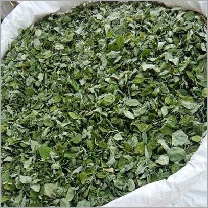 Moringa Leaves