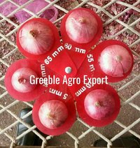 55-65 mm Big Size Red & Pink Onion
