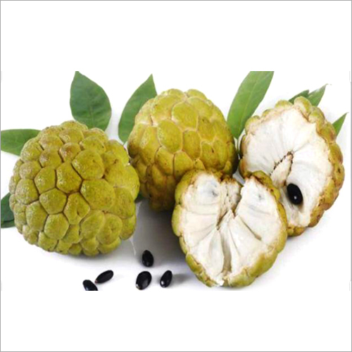 Fresh Custard Apple - Organic Whole Sweet Fruit | High in Potassium, Rich in Antioxidants, Ideal for Dessert Dishes