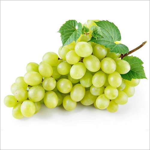 Green Grapes - Organic, Fresh, Whole | Juicy Sweet Flavor, High in Antioxidants, Ideal for Custard and Ice Cream Enhancements