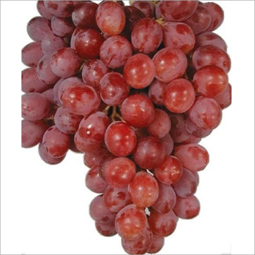 Red Seedles Grapes - Organic Fresh Whole Grapes , Sweet Natural Taste, High in Vitamins C and K, Hygienically Stored for 3-4 Days