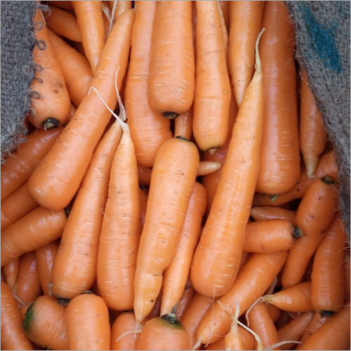 English Carrot - Organic, Natural Shape, Fresh Style | Ideal for Food Export Market, High Demand Worldwide