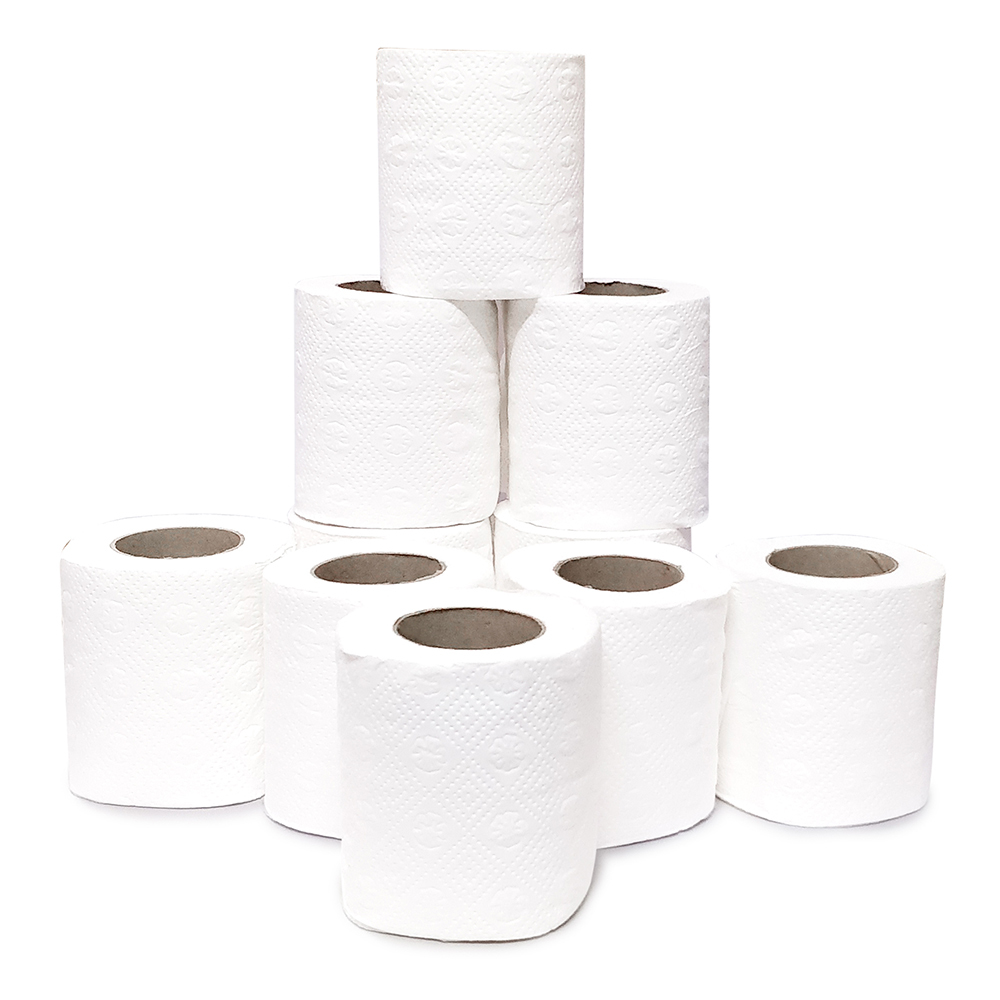Primaxx Premium Quality Toilet Paper Roll (2 Ply) 10 In 1 Pack