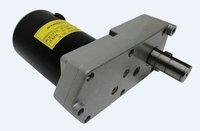 Worm Gear PMDC Motor