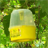 Insect Traps 