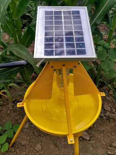 Solar Light Trap Medium