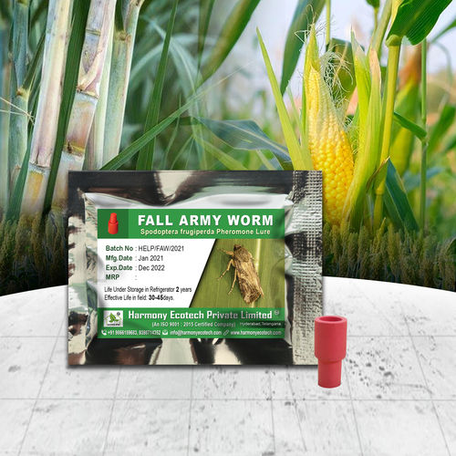 Fall Armyworm