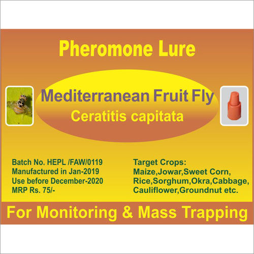 Ceratitis capitata - Mediterranean Fruit Fly