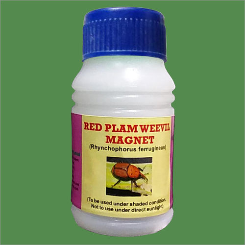 Red Palm Weevil Magnet