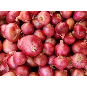 Fresh Red Onion