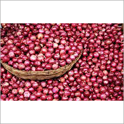 Small Red Onion