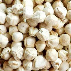 Organic Moringa Seed Kernels