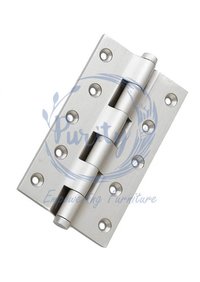 Brass Railway Hinges With Button Cap