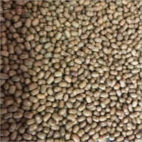 Organic Moth Dal
