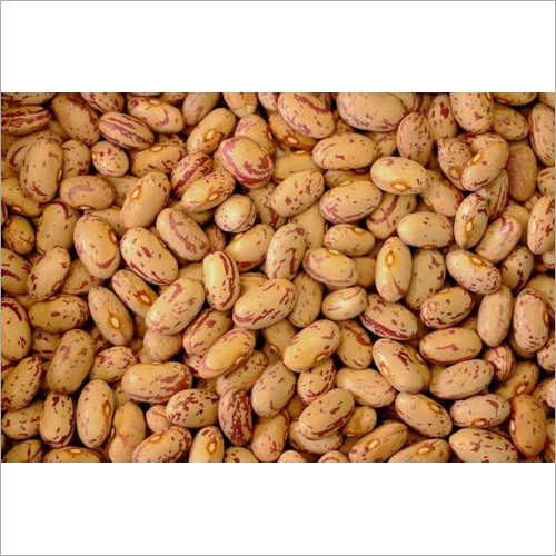 Organic Speckled Kidney Beans Broken (%): Nil