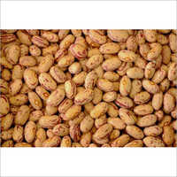 Organic Speckled Kidney Beans Broken (%): Nil
