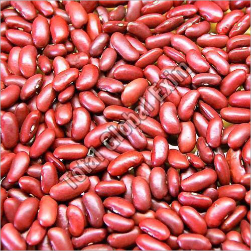 Red Kidney Beans By TOTAL GLOBAL EXIM