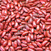 Indian Pulses And Beans