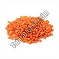Red Masoor Dal