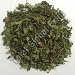 Dehydrated Mint Leaves By TOTAL GLOBAL EXIM
