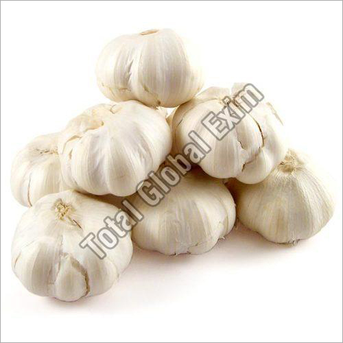 Fresh Garlic By TOTAL GLOBAL EXIM