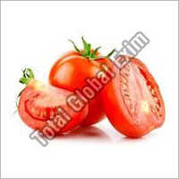 Fresh Tomato