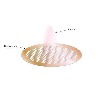 Carbon Films on 400 Mesh Grids Copper (Pack of 50)