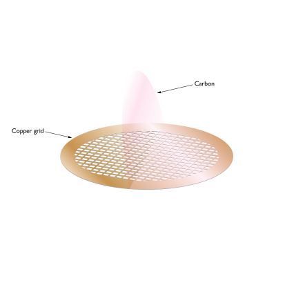 Carbon Films on 400 Mesh Grids Copper (Pack of 25)