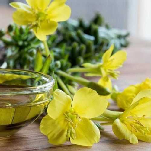 Evening Primrose oil