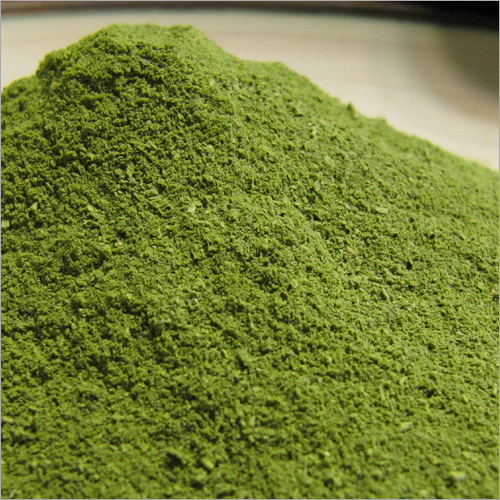 Moringa Leaf Powder - Green Powder Form | Packed in Customized Packaging for Quality Assurance Store in a Dry Place