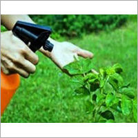 Herbal Pest Control Services By DHRUVA PEST CONTROL