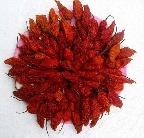 Bhut Jolokia (Ghost Pepper) (dried)