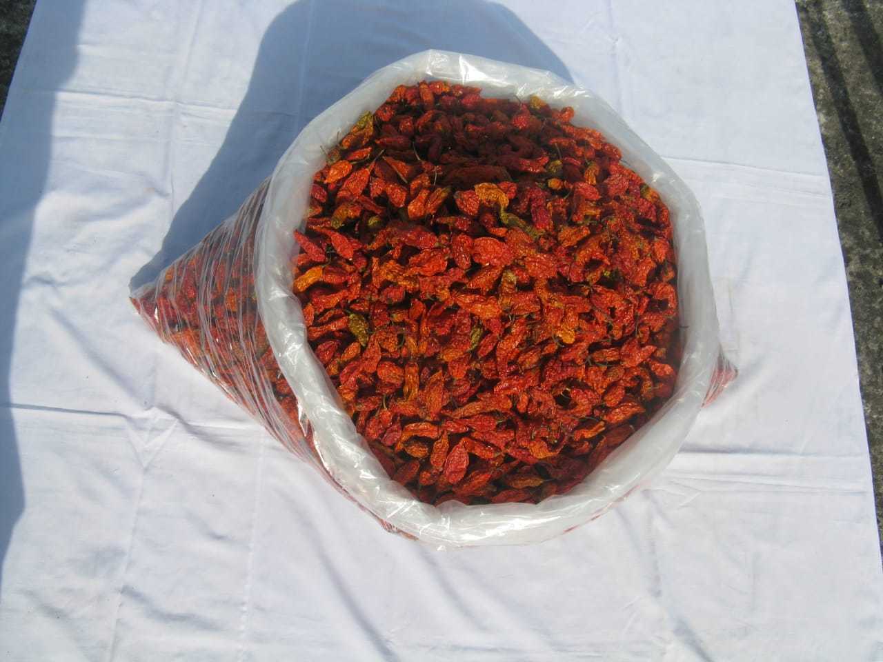 Bhut Jolokia (Ghost Pepper) (dried)