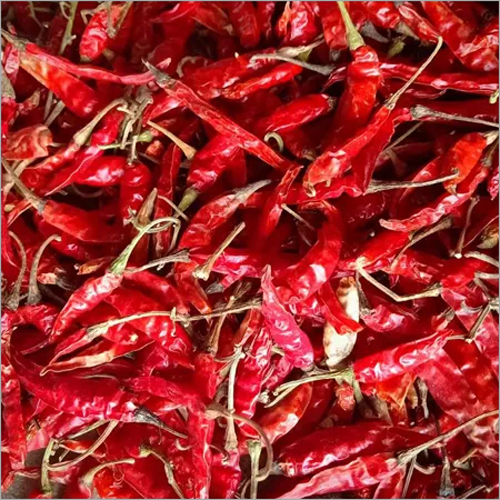 S4 Chilli with Stem