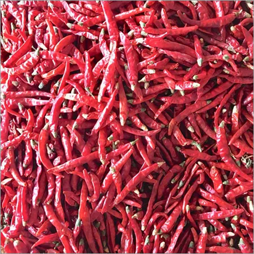 Teja Chilli stemcut