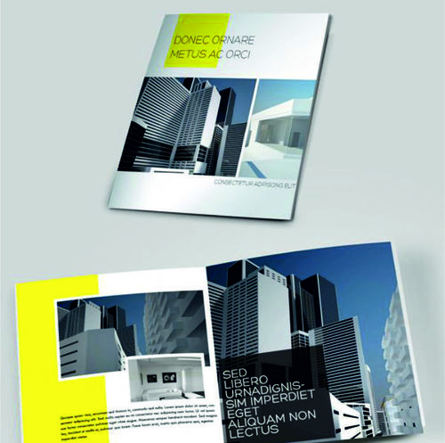 Brochure & Catalogue Desinging